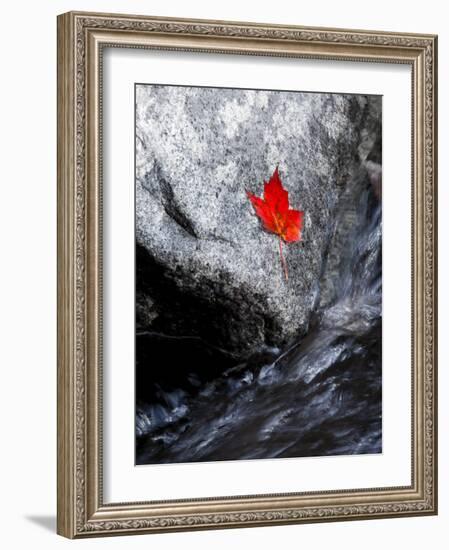 Screw Auger Falls, Grafton Notch State Park, Maine, USA-Alan Copson-Framed Photographic Print