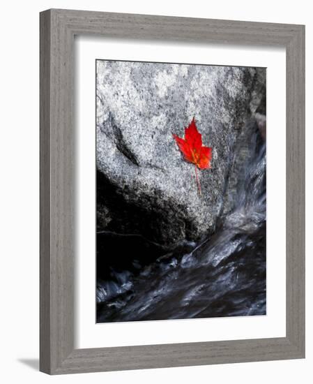 Screw Auger Falls, Grafton Notch State Park, Maine, USA-Alan Copson-Framed Photographic Print