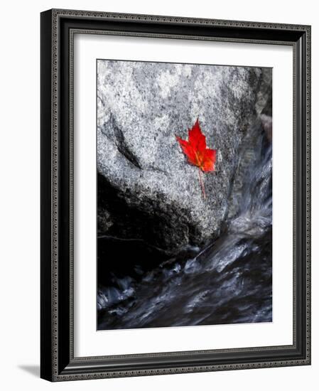 Screw Auger Falls, Grafton Notch State Park, Maine, USA-Alan Copson-Framed Photographic Print
