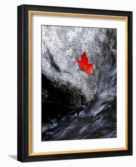 Screw Auger Falls, Grafton Notch State Park, Maine, USA-Alan Copson-Framed Photographic Print