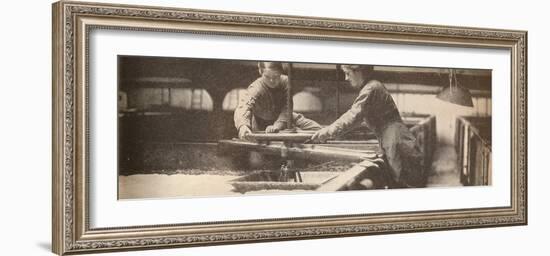 Screwing Down the Yeast in a Burton-On-Trent Brewery', c1916, (1935)-Unknown-Framed Photographic Print