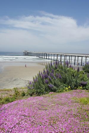 Scripps Institution Of Oceanography La Jolla California Usa