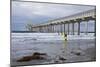 Scripps Pier I-Lee Peterson-Mounted Photographic Print
