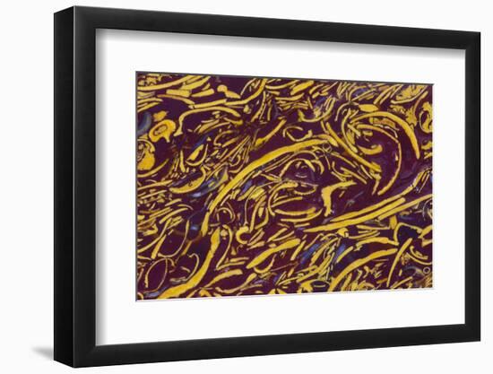 Script Stone-Darrell Gulin-Framed Photographic Print