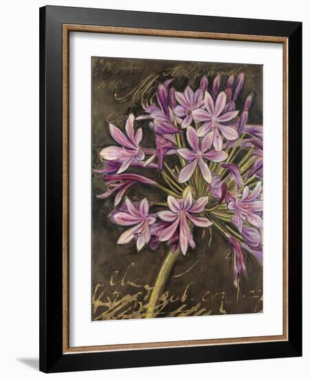 Scripted Agapanthus-Chad Barrett-Framed Art Print