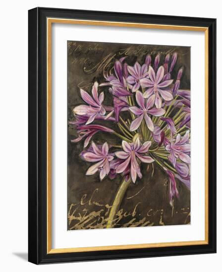 Scripted Agapanthus-Chad Barrett-Framed Art Print