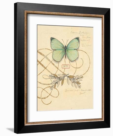 Scripted Papillon-Chad Barrett-Framed Art Print