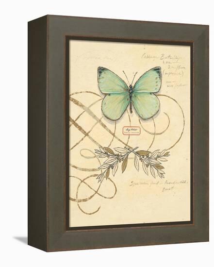 Scripted Papillon-Chad Barrett-Framed Stretched Canvas