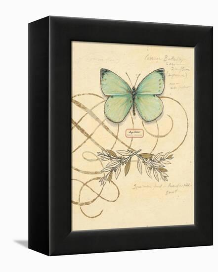 Scripted Papillon-Chad Barrett-Framed Stretched Canvas