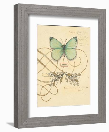 Scripted Papillon-Chad Barrett-Framed Art Print