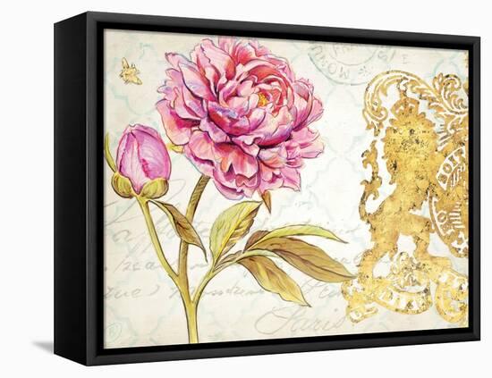 Scripted Rose-Chad Barrett-Framed Stretched Canvas