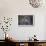 Scrub Jay-Art Wolfe-Art Print displayed on a wall