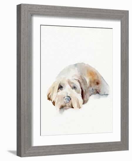 Scruffy Puppy II-Jennifer Parker-Framed Art Print