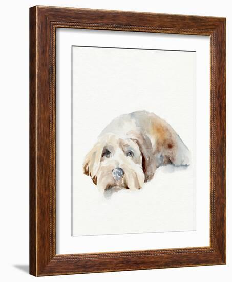 Scruffy Puppy II-Jennifer Parker-Framed Art Print