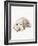 Scruffy Puppy II-Jennifer Parker-Framed Art Print