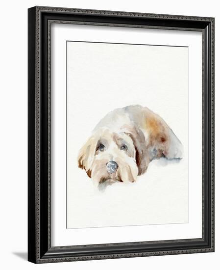 Scruffy Puppy II-Jennifer Parker-Framed Art Print