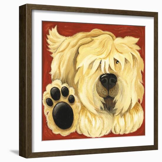 Scruffy-Kate Mawdsley-Framed Giclee Print