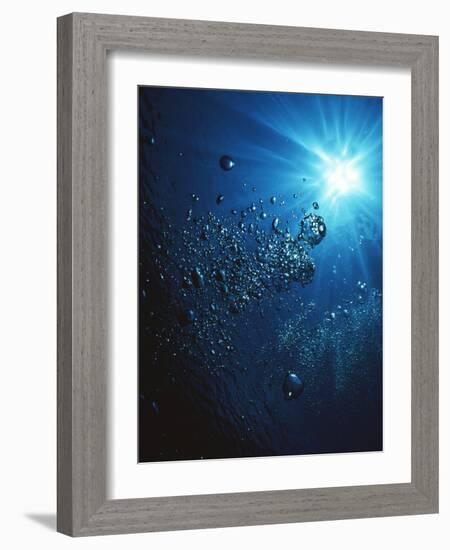 Scuba Bubbles-Matthew Oldfield-Framed Photographic Print