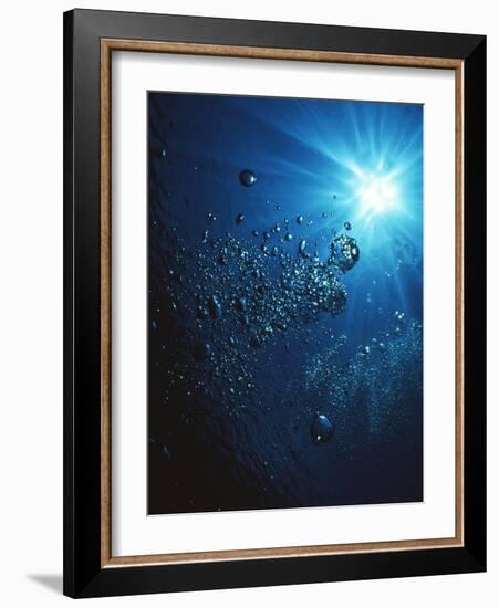 Scuba Bubbles-Matthew Oldfield-Framed Photographic Print