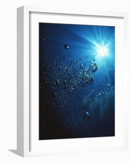 Scuba Bubbles-Matthew Oldfield-Framed Photographic Print