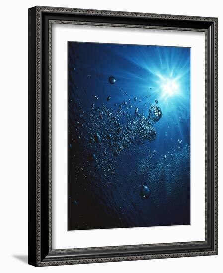 Scuba Bubbles-Matthew Oldfield-Framed Photographic Print