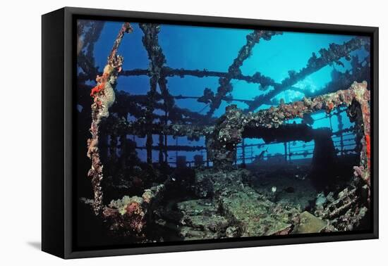 Scuba Diver Diving on Umbria Shipwreck, Sudan, Africa, Red Sea, Wingate Reef-Reinhard Dirscherl-Framed Premier Image Canvas