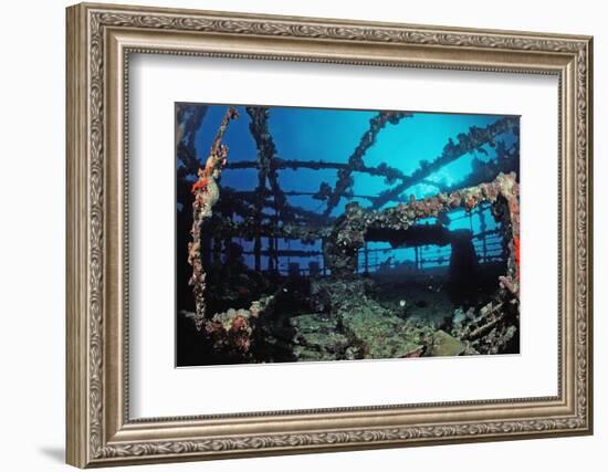 Scuba Diver Diving on Umbria Shipwreck, Sudan, Africa, Red Sea, Wingate Reef-Reinhard Dirscherl-Framed Photographic Print