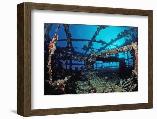 Scuba Diver Diving on Umbria Shipwreck, Sudan, Africa, Red Sea, Wingate Reef-Reinhard Dirscherl-Framed Photographic Print