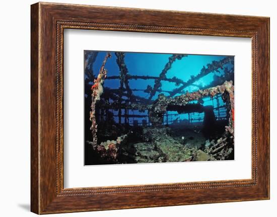 Scuba Diver Diving on Umbria Shipwreck, Sudan, Africa, Red Sea, Wingate Reef-Reinhard Dirscherl-Framed Photographic Print