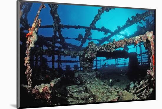 Scuba Diver Diving on Umbria Shipwreck, Sudan, Africa, Red Sea, Wingate Reef-Reinhard Dirscherl-Mounted Photographic Print