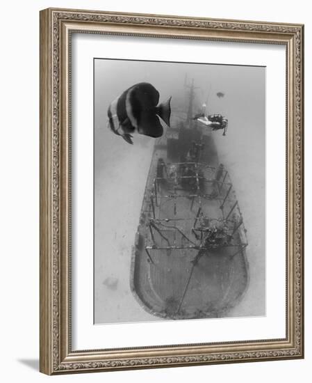 Scuba Diver Near Sunken Ship-Stuart Westmorland-Framed Photographic Print