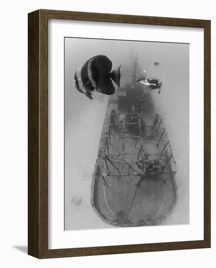 Scuba Diver Near Sunken Ship-Stuart Westmorland-Framed Photographic Print