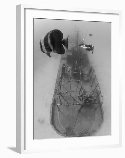 Scuba Diver Near Sunken Ship-Stuart Westmorland-Framed Photographic Print