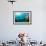 Scuba Diver Swimming with Gopro in Coral Landscape Scenic at Thetford Reef-Louise Murray-Framed Photographic Print displayed on a wall