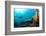 Scuba Diver Swimming with Gopro in Coral Landscape Scenic at Thetford Reef-Louise Murray-Framed Photographic Print