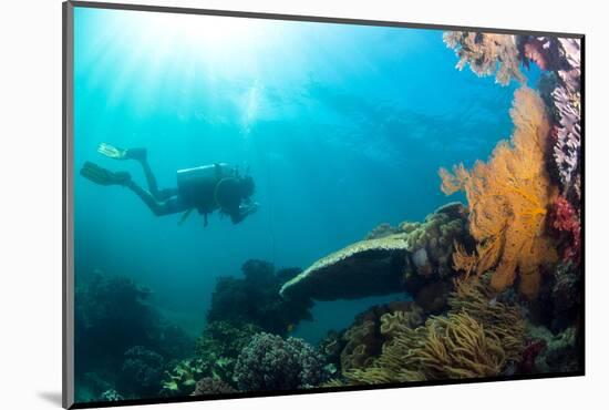 Scuba Diver Swimming with Gopro in Coral Landscape Scenic at Thetford Reef-Louise Murray-Mounted Photographic Print