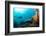 Scuba Diver Swimming with Gopro in Coral Landscape Scenic at Thetford Reef-Louise Murray-Framed Photographic Print