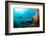 Scuba Diver Swimming with Gopro in Coral Landscape Scenic at Thetford Reef-Louise Murray-Framed Photographic Print