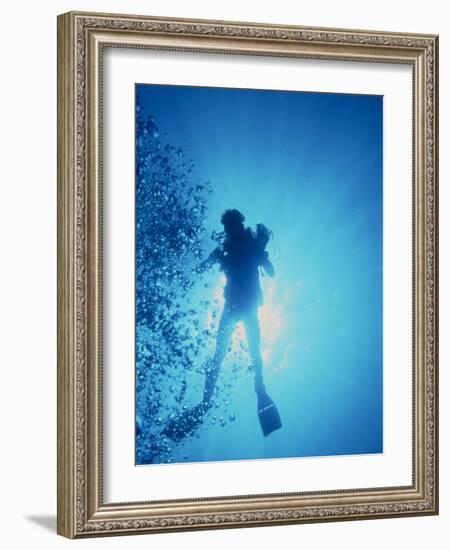 Scuba Diver with Camera In the Red Sea-Geoff Tompkinson-Framed Photographic Print