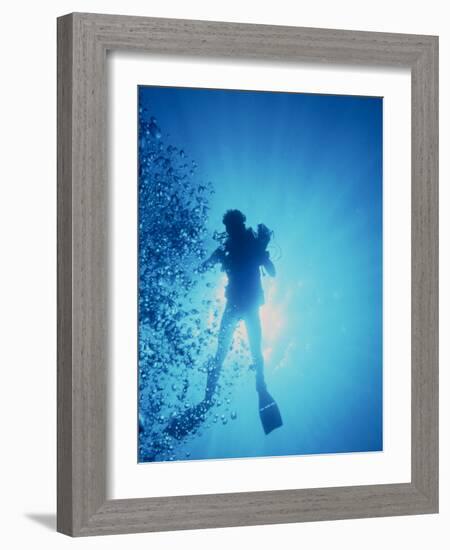Scuba Diver with Camera In the Red Sea-Geoff Tompkinson-Framed Photographic Print