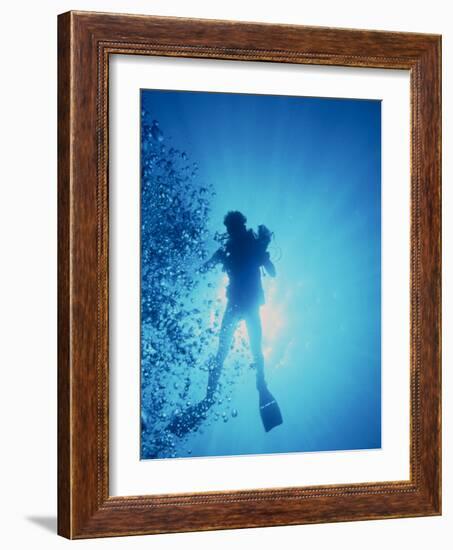 Scuba Diver with Camera In the Red Sea-Geoff Tompkinson-Framed Photographic Print