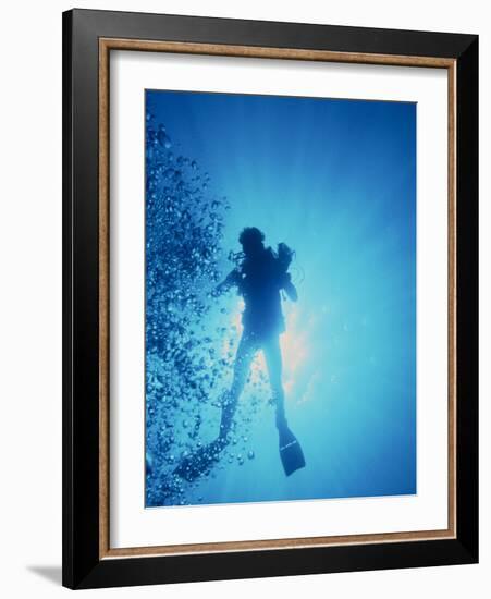 Scuba Diver with Camera In the Red Sea-Geoff Tompkinson-Framed Photographic Print