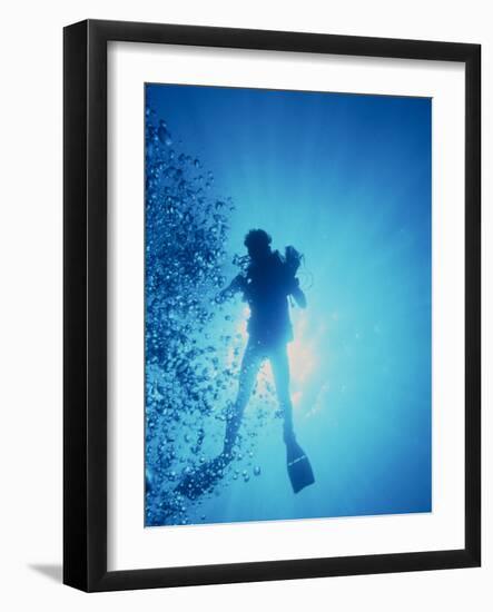 Scuba Diver with Camera In the Red Sea-Geoff Tompkinson-Framed Photographic Print