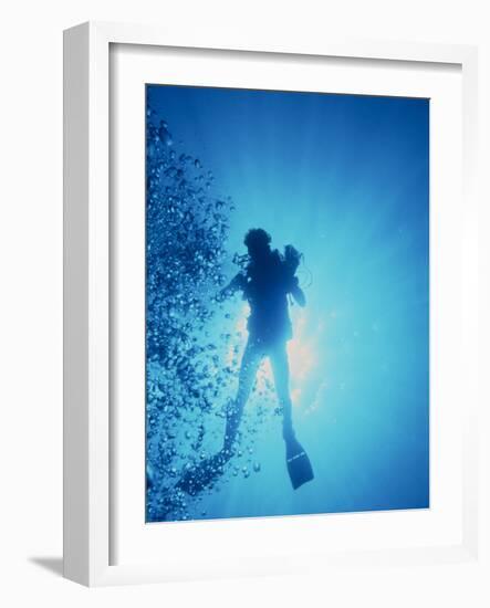 Scuba Diver with Camera In the Red Sea-Geoff Tompkinson-Framed Photographic Print