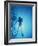 Scuba Diver with Camera In the Red Sea-Geoff Tompkinson-Framed Photographic Print