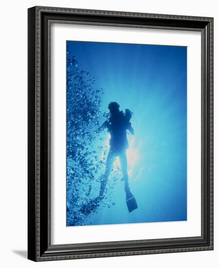 Scuba Diver with Camera In the Red Sea-Geoff Tompkinson-Framed Photographic Print