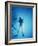 Scuba Diver with Camera In the Red Sea-Geoff Tompkinson-Framed Photographic Print