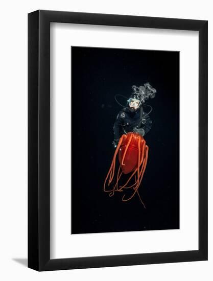 Scuba diver with Helmet jellyfish, Norway-Franco Banfi-Framed Photographic Print