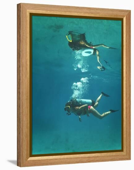 Scuba Diver-Peter Scoones-Framed Premier Image Canvas