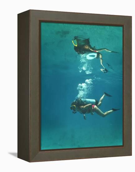 Scuba Diver-Peter Scoones-Framed Premier Image Canvas